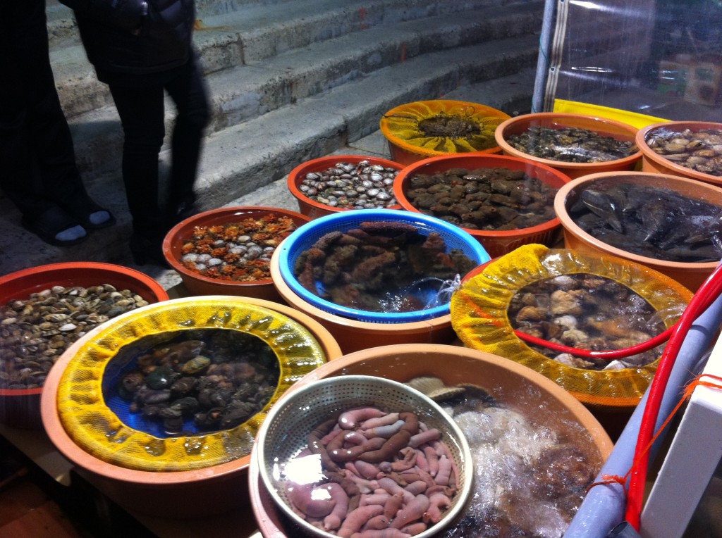 As you walk up, you are greeted with the sight of fresh and unusual seafood