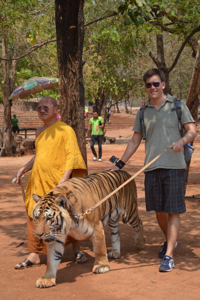 Walking a Tiger at Tiger Temple, Kanchanaburi, Thailand