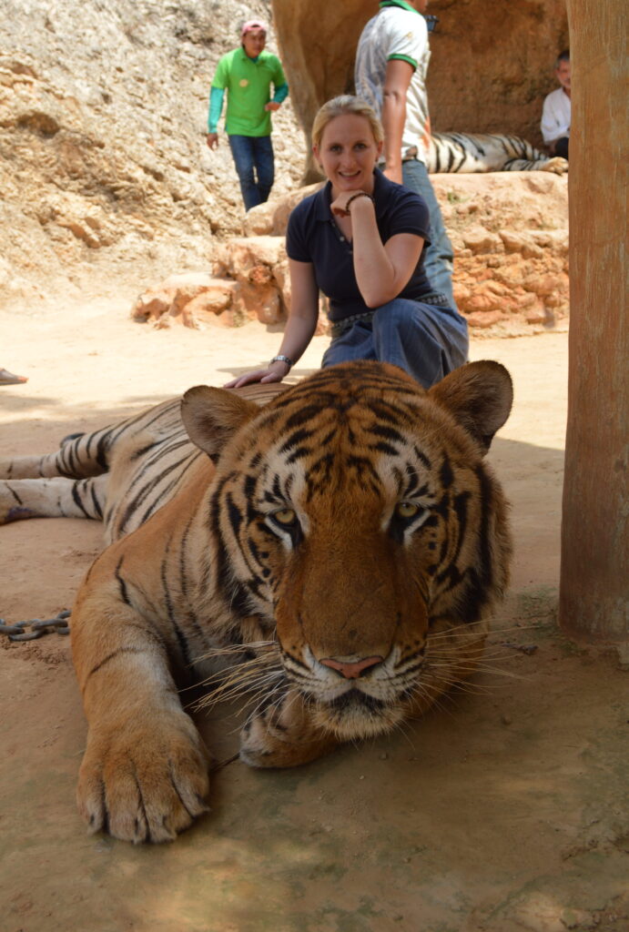 Shannon Petting a Tiger at Tiger Temple, Kanchanaburi, Thailand