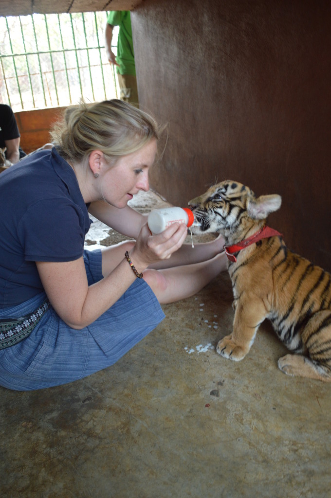 Shannon feeding a tiger cub at Tiger Temple, Kanchanaburi, Thailand