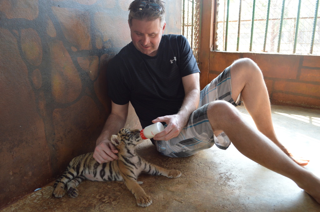 Derrick feeding a tiger cub at Tiger Temple, Kanchanaburi, Thailand