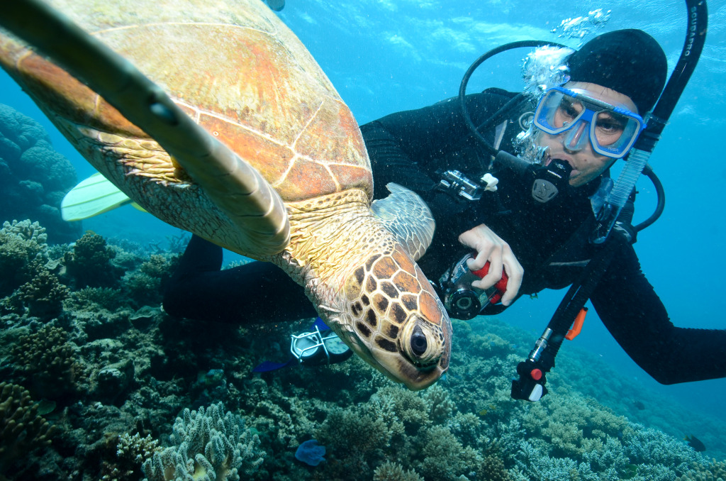 Stephen Scuba Diving in the Great Barrier Reef in Australia