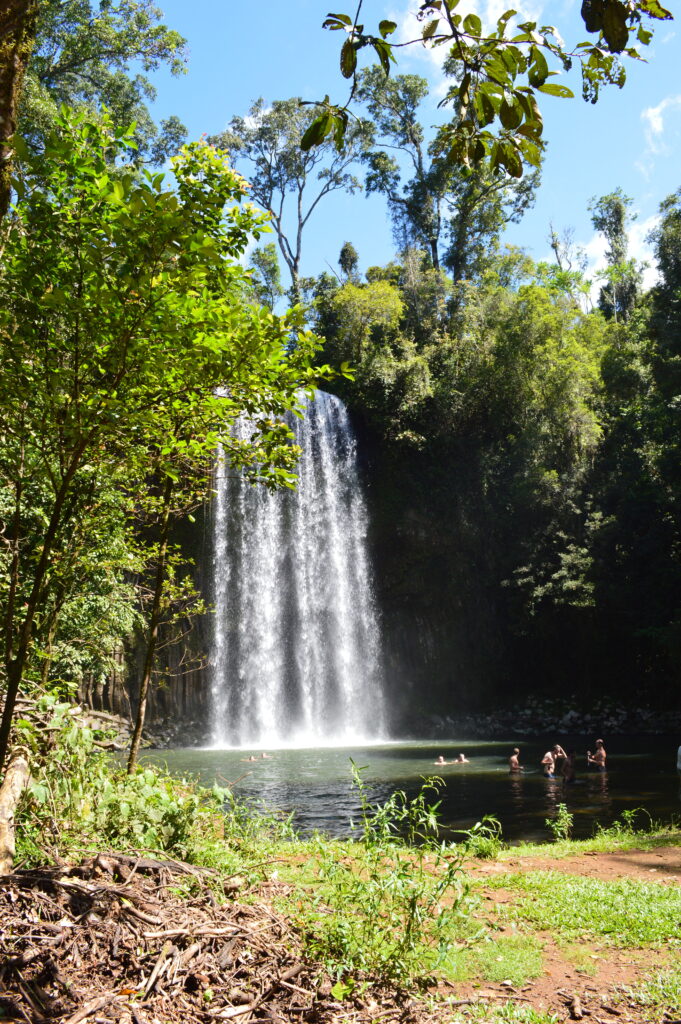 Millaa Millaa Waterfall in Queensland, Australia