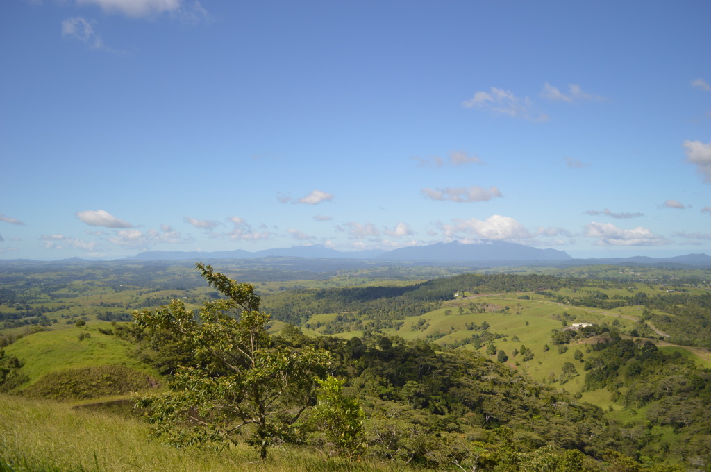 Daintree National Rainforest in Queensland, Australia