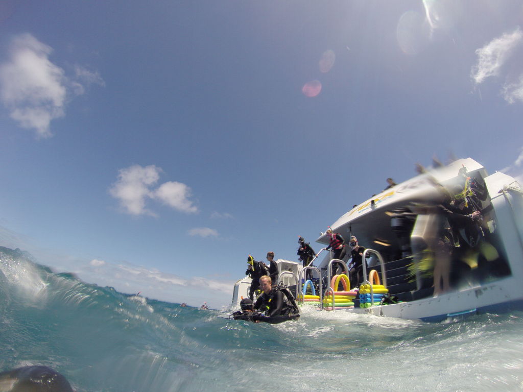 Scuba Diving in the Great Barrier Reef in Australia