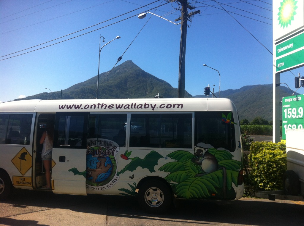 On The Wallaby Tour Bus in Queensland, Australia