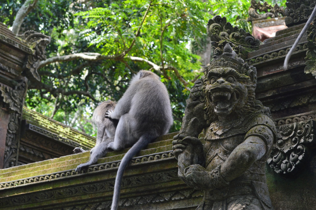 Monkey Forest in Ubud, Bali, Indonesia