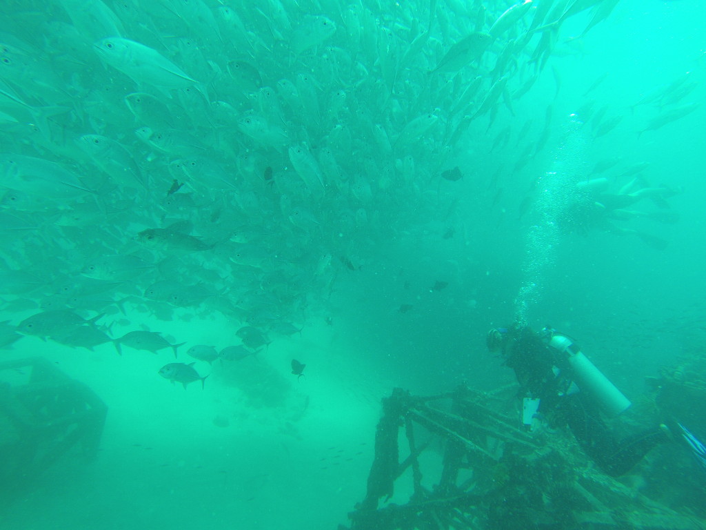 Scuba Diving off Mabul Island in Malaysia